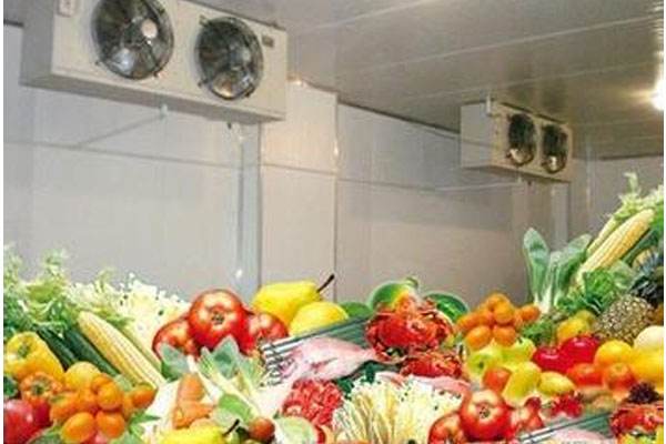 水果蔬菜能在果蔬保鲜冷库中保鲜多久
